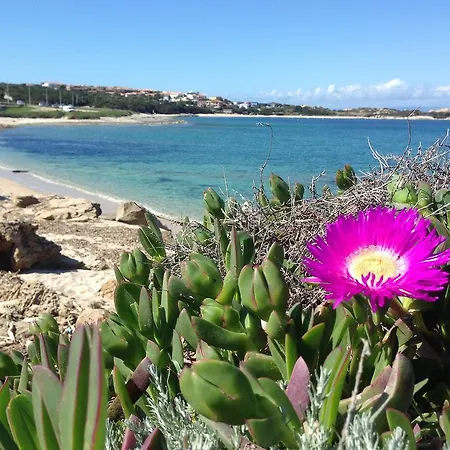 Da Patrizia Pensionat